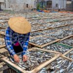 Sostenibilità e Rilancio: Riflettori Accesi sui Settori Agroalimentare e Ittico Italiano