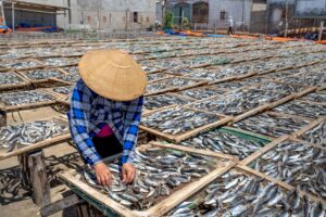 Sostenibilità e Rilancio: Riflettori Accesi sui Settori Agroalimentare e Ittico Italiano