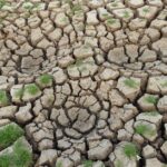 Crisi Ambientale Italiana: Il Salato Conto dell'Acqua e i Dilemmi della Natura